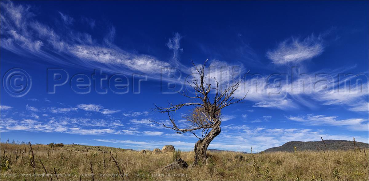 Peter Bellingham Photography Reach - Koscuiszko NP - NSW T (PBH4 00 12489)